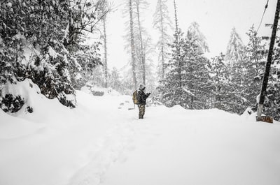 站在雪域中间的树木附近的人